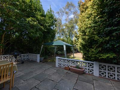 Picture 23